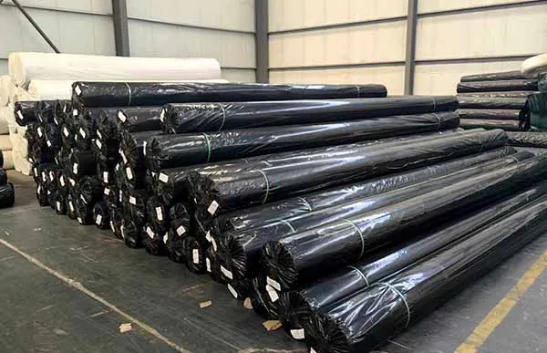 Geotextile — plate 04